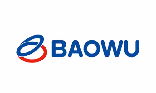 baowu group logo